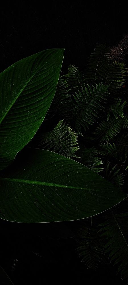 Photograph by Анна Курлова