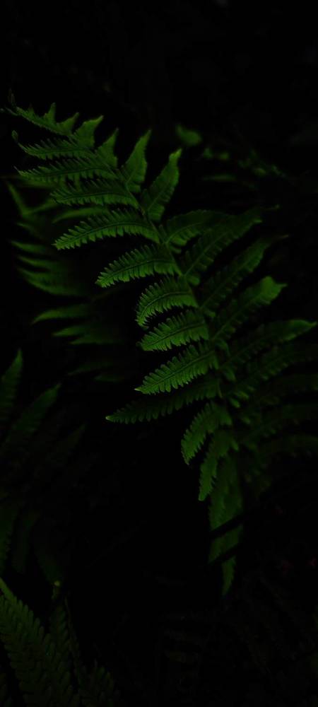 Photograph by Анна Курлова