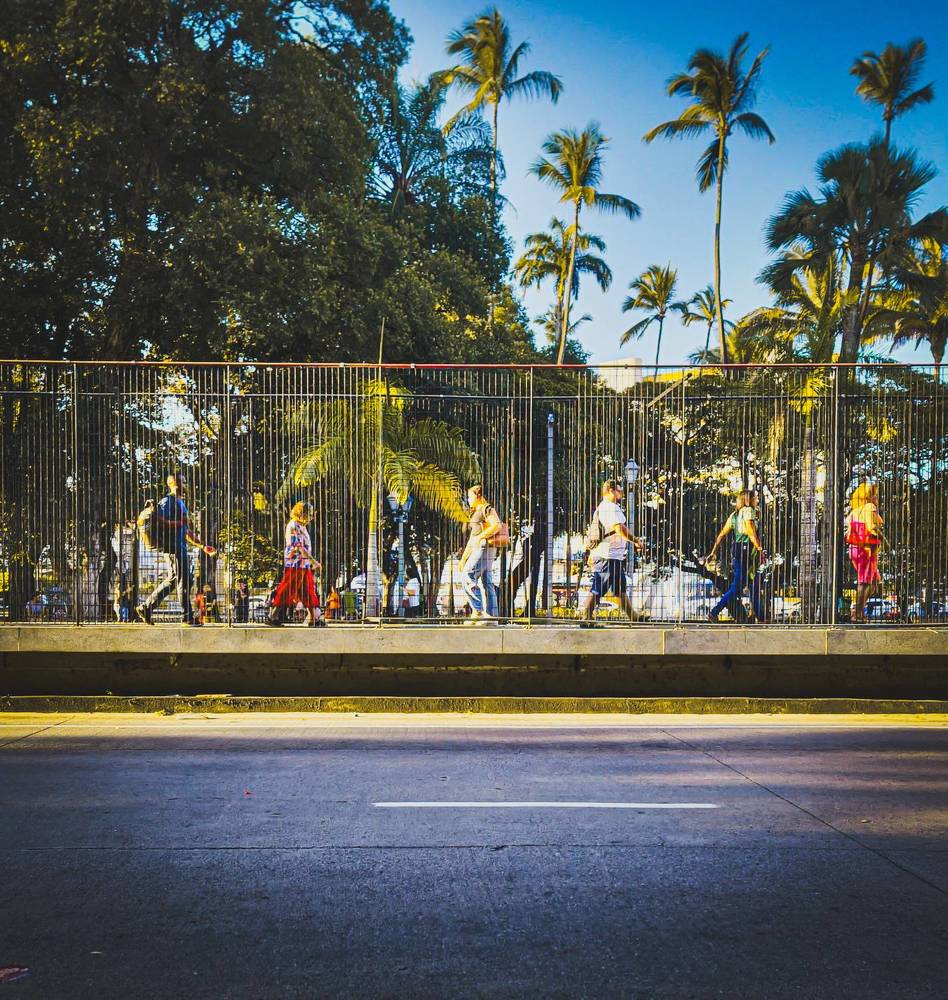 Фотография автора Walfrido Alexandre