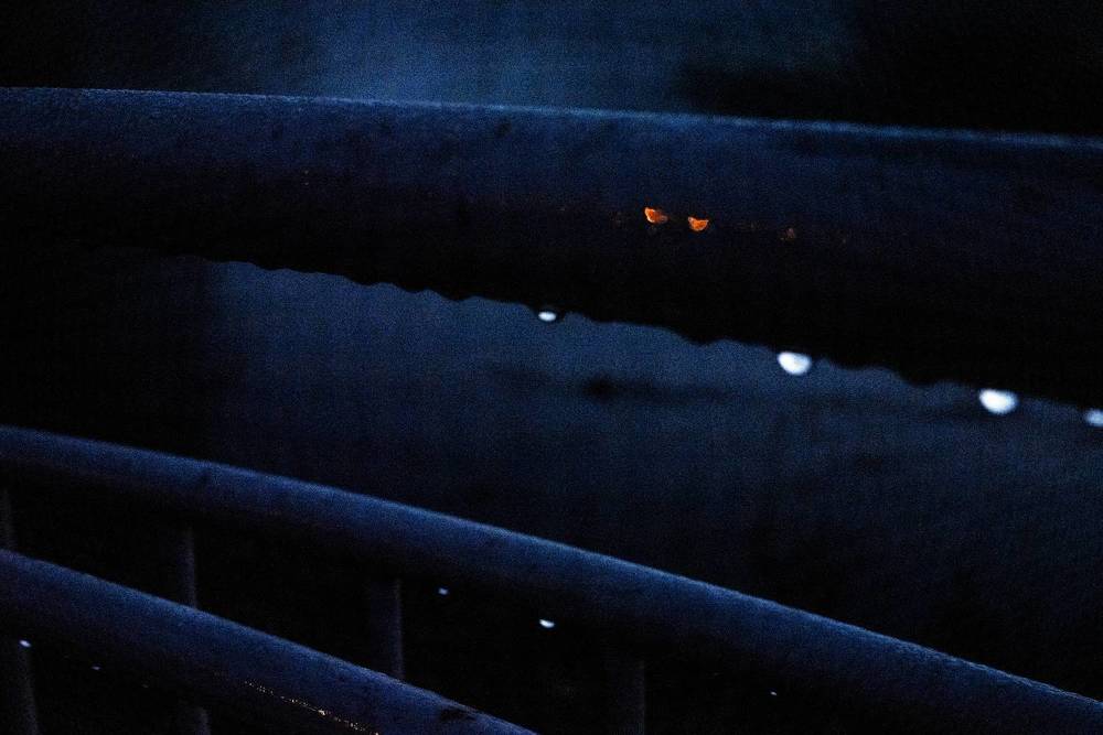 Фотография автора марина леоненко