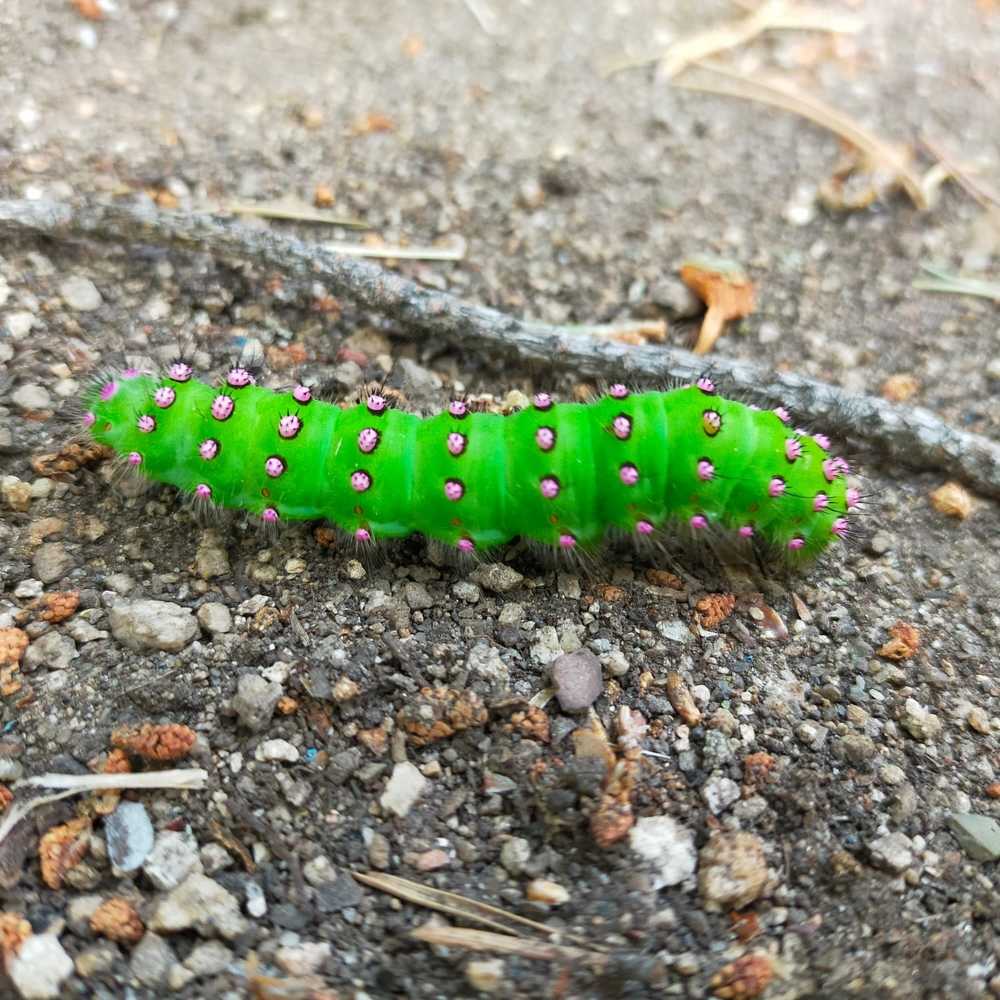 Photograph by Татьяна Герасименко