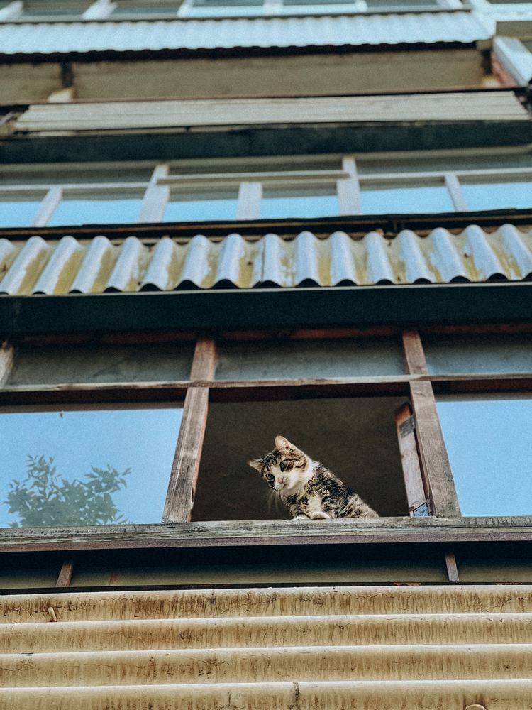 Photograph by Евгения