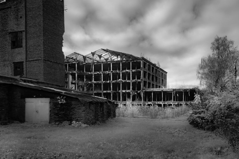 Photograph by Гаврилов Николай