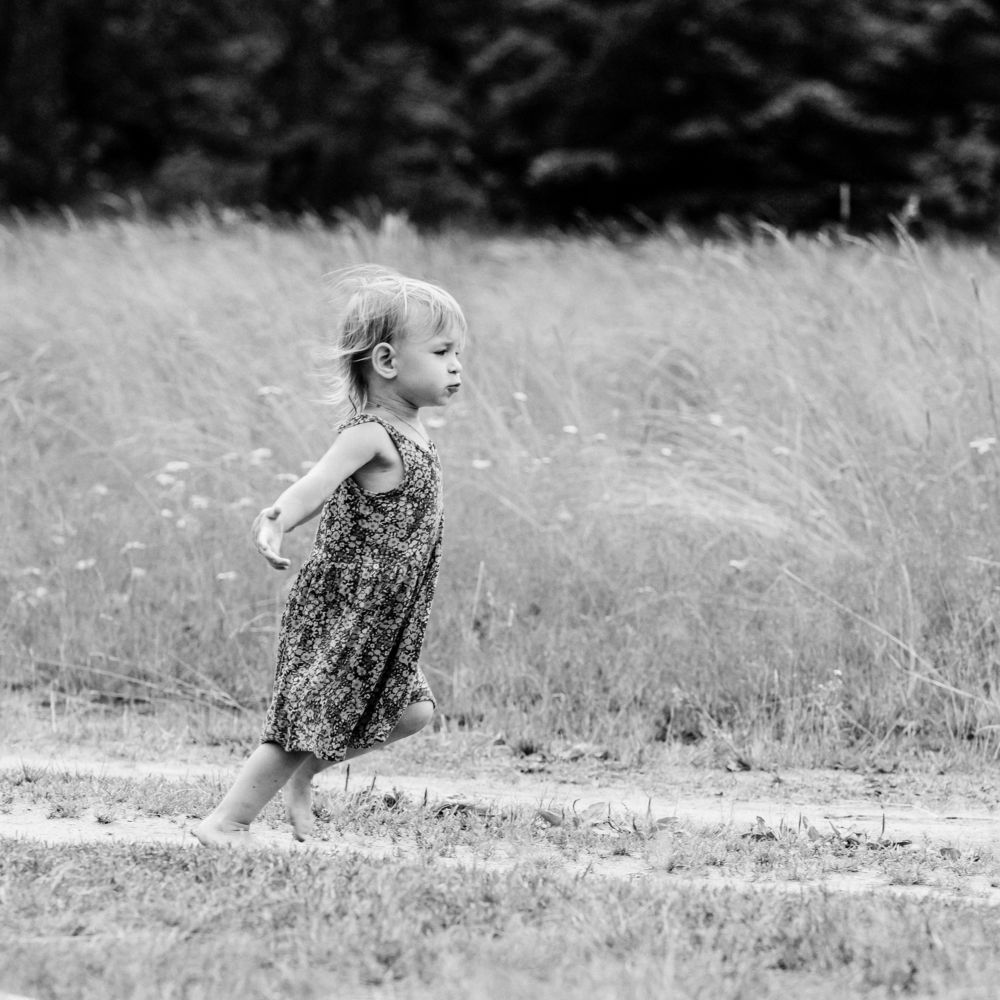 Photograph by Шилов Александр