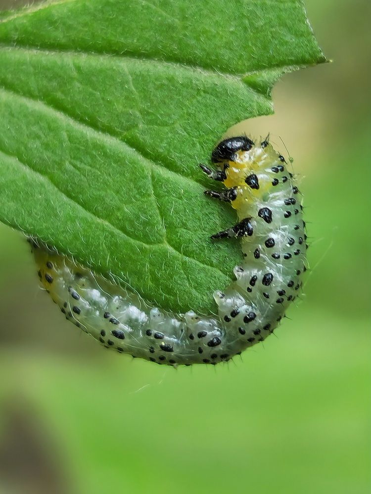 Фотография автора Ольга Быстрова