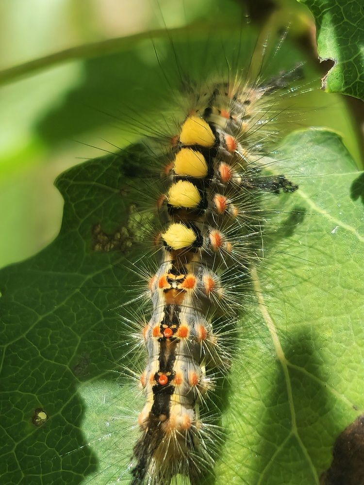Фотография автора Ольга Быстрова
