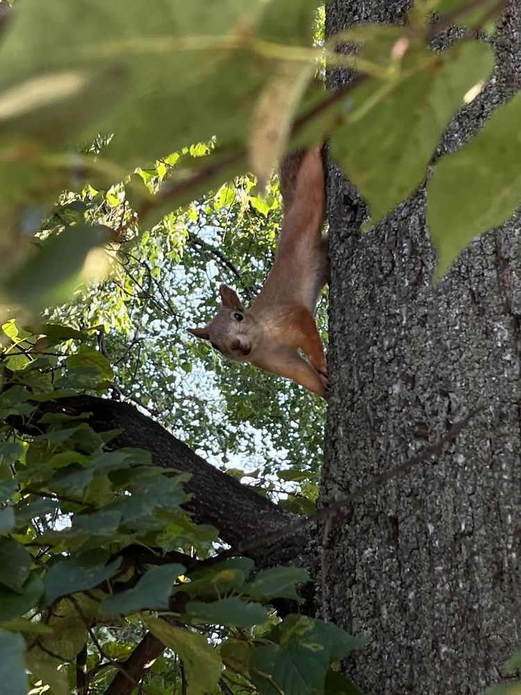 Photograph by Ekaterina