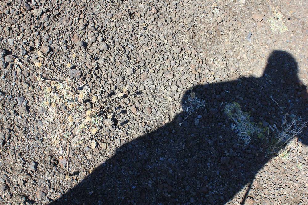 Photograph by Olga Bagaeva