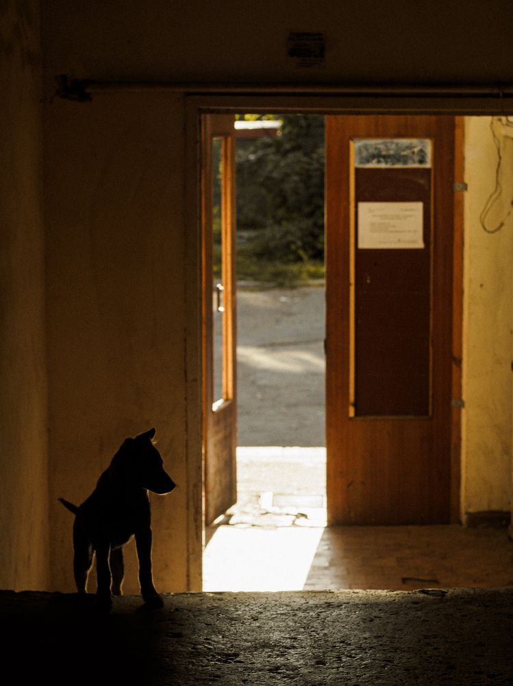 Photograph by Margarita Presidentova