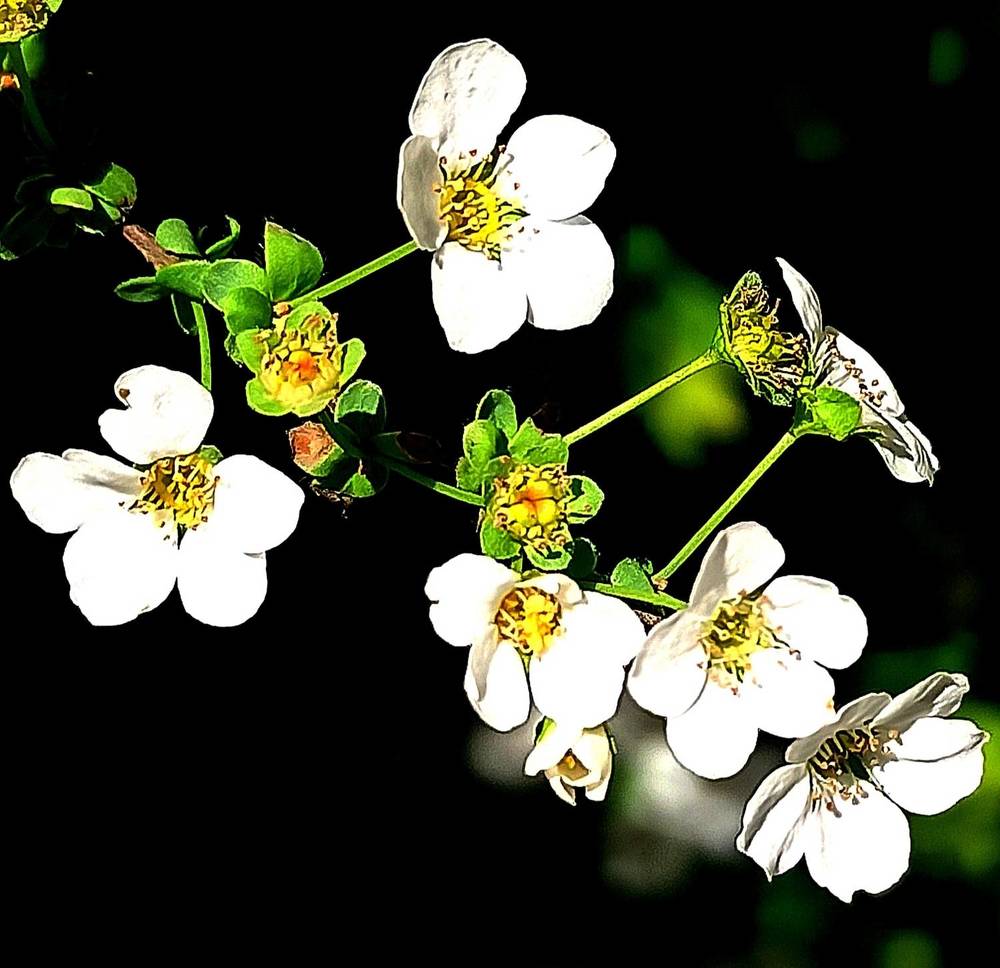 Photograph by Ольга Тихонова