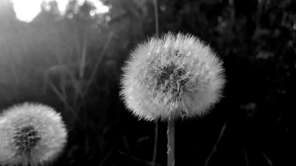 Photograph by Елена Лещева