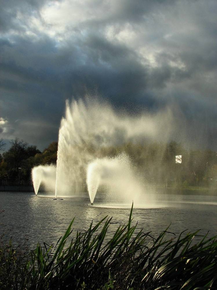 Photo #11302202