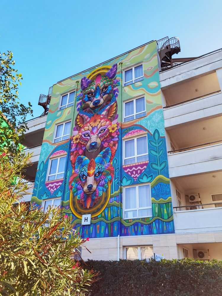 Photograph by Мария Путинцева