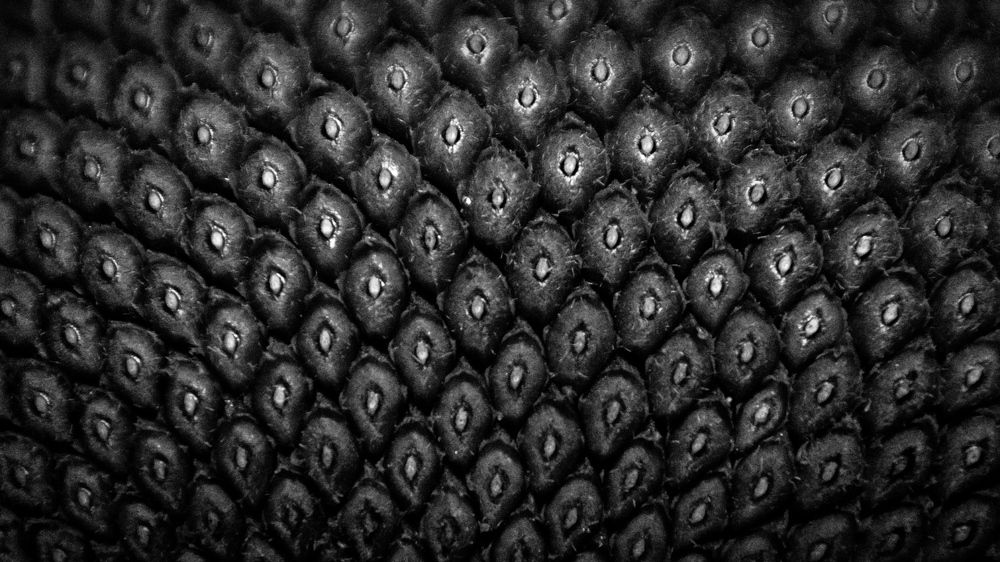 Photograph by Татьяна Романова