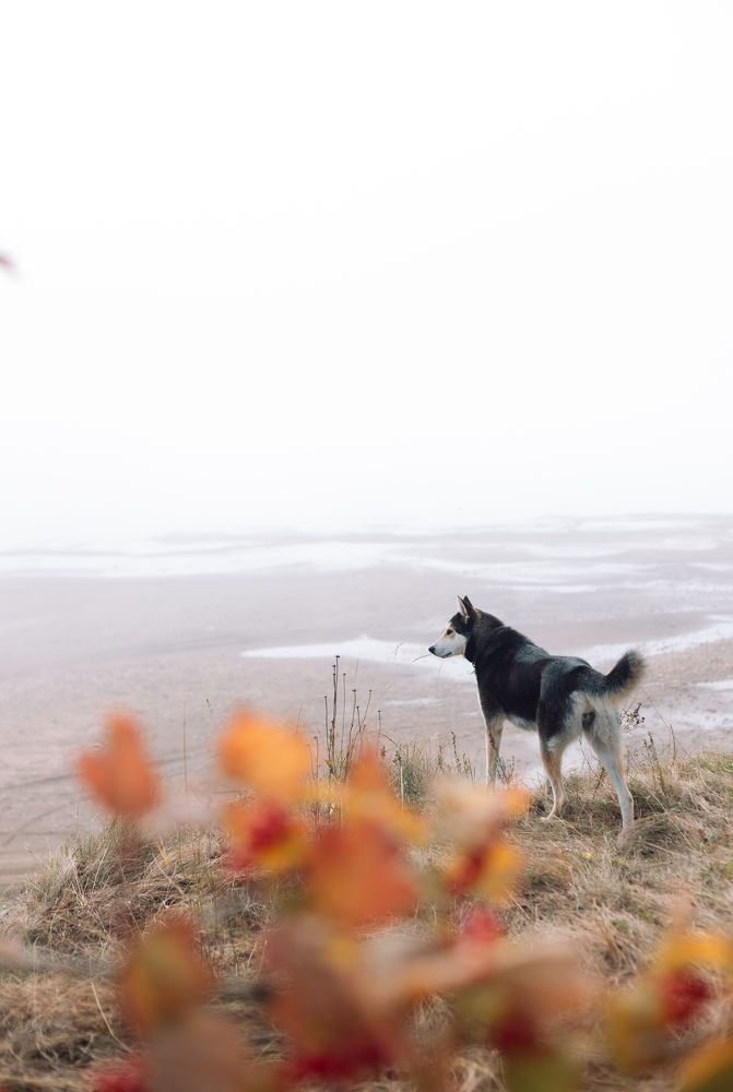Photograph by Юлия Суханова