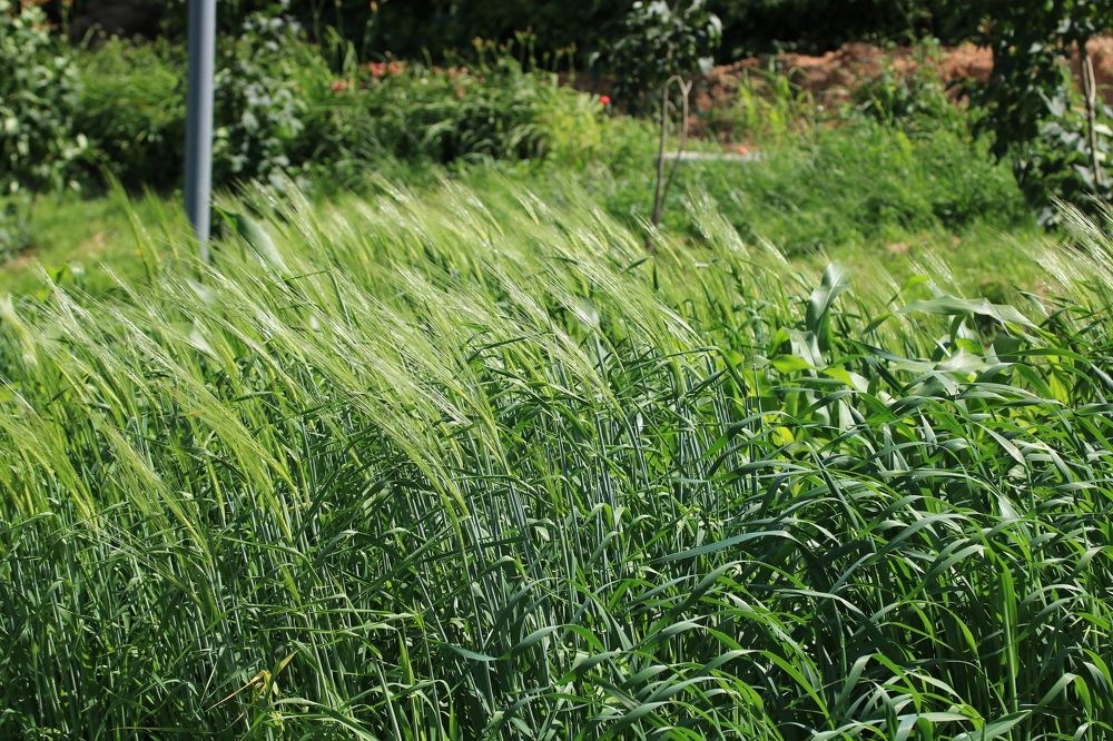 Photograph by Гагик Саркисян