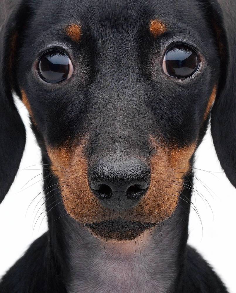 Photograph by Igor Sakharov