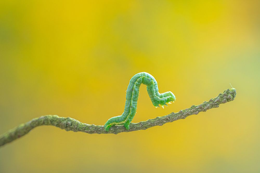 Photograph by БОРИС БЕЛКАНИЯ