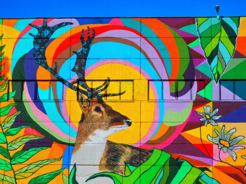 Photograph by Олеся Бронзова