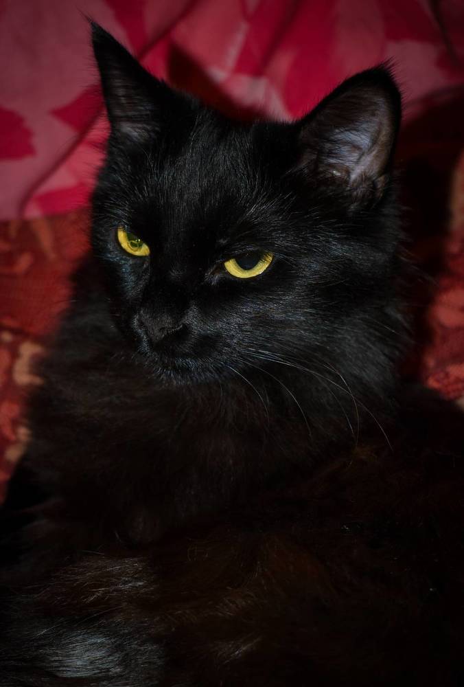 Photograph by Олеся Бронзова