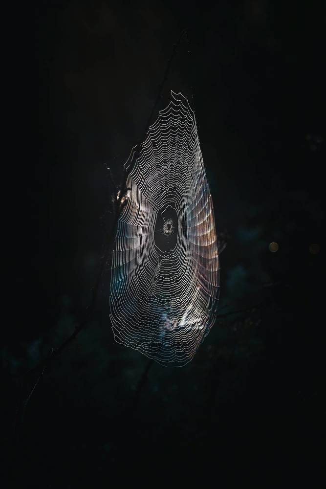 Photograph by Лапшина Владлена