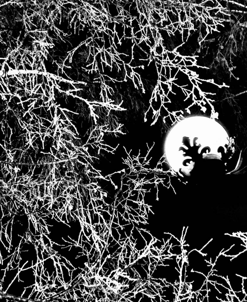 Photograph by Татьяна Гулакова