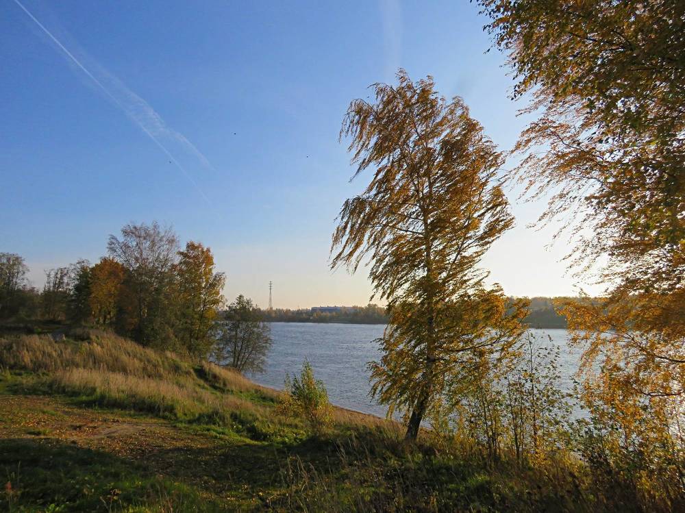 Photograph by Галина Пименова