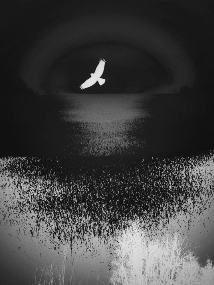 Photograph by Татьяна Гулакова