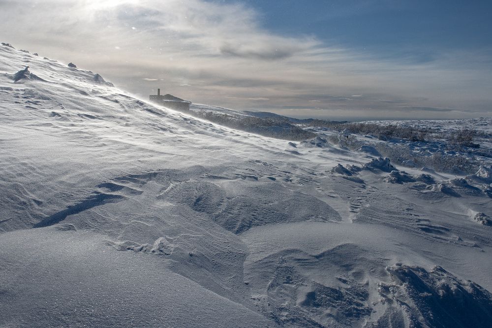 Photograph by Светлана Гореликова