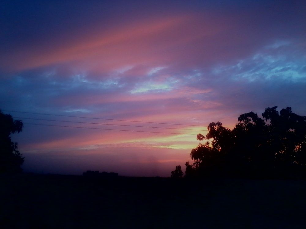 Photo #11302569