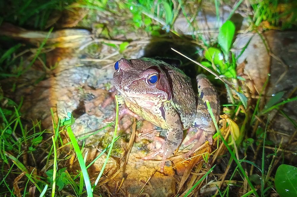 Photograph by Алексей Андреев