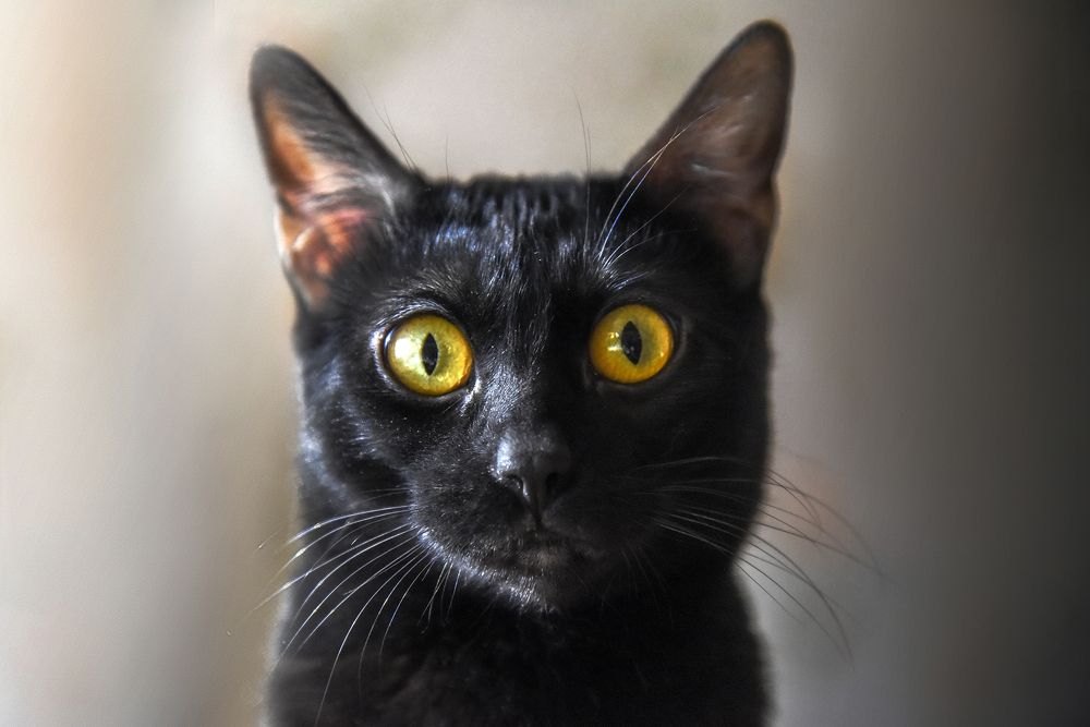 Photograph by Эд Голиков