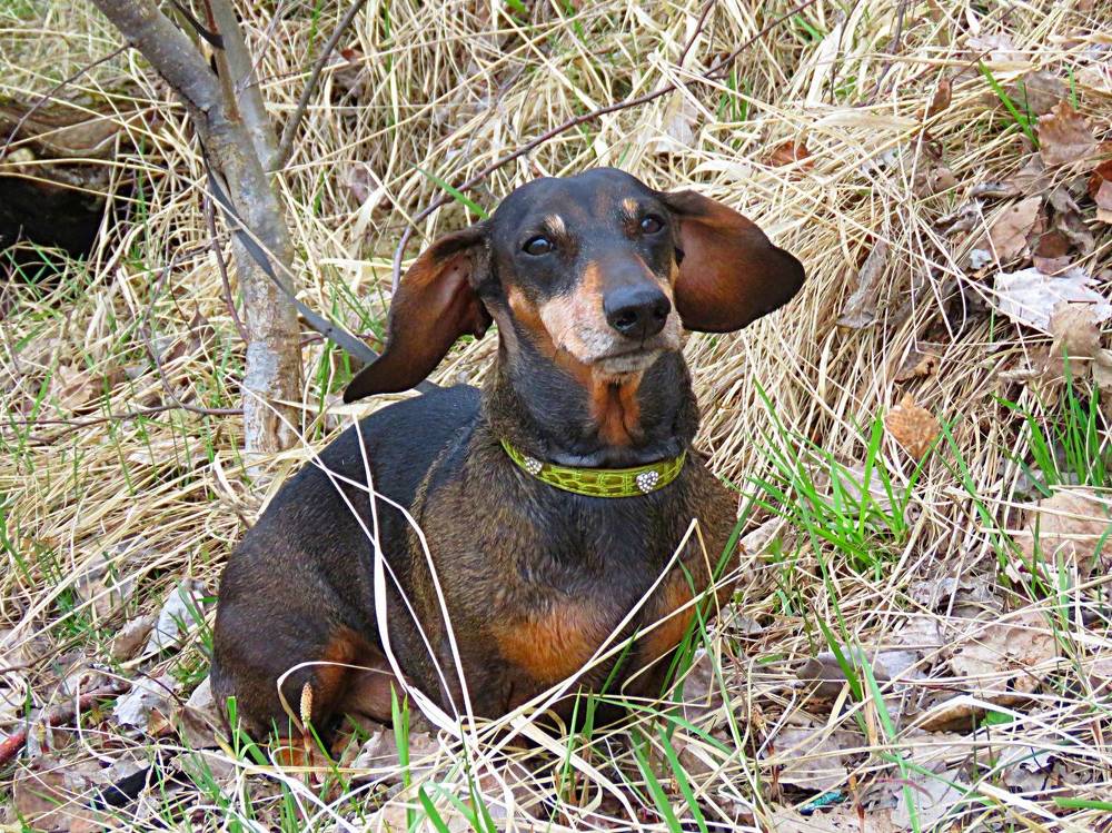 Photograph by Галина Пименова