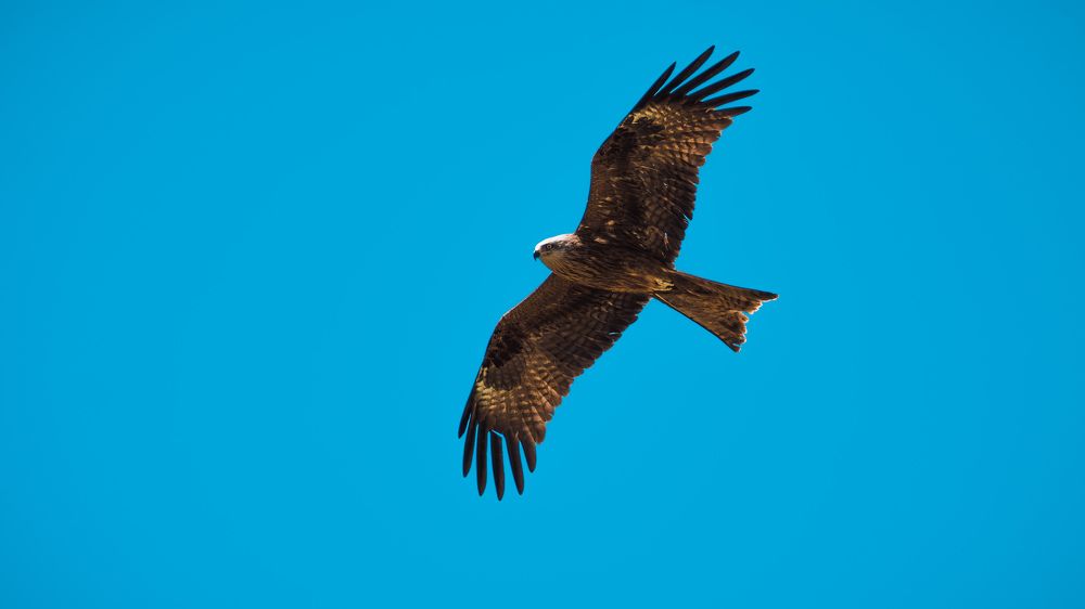 Photograph by Максим Медведев