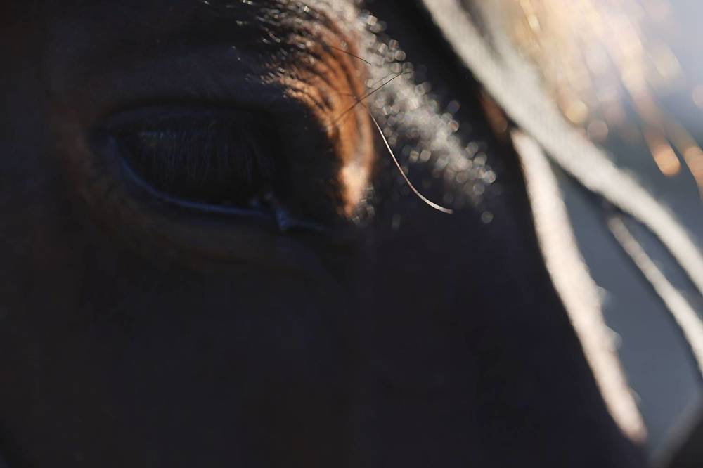 Photograph by Ирина Анцыгина