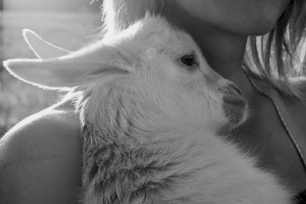 Photograph by Вера Сдвижкова