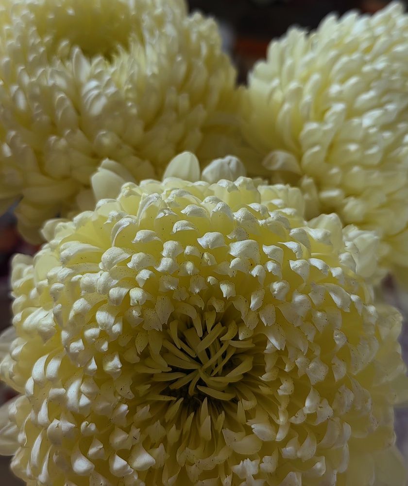 Photograph by Анна Матецкая