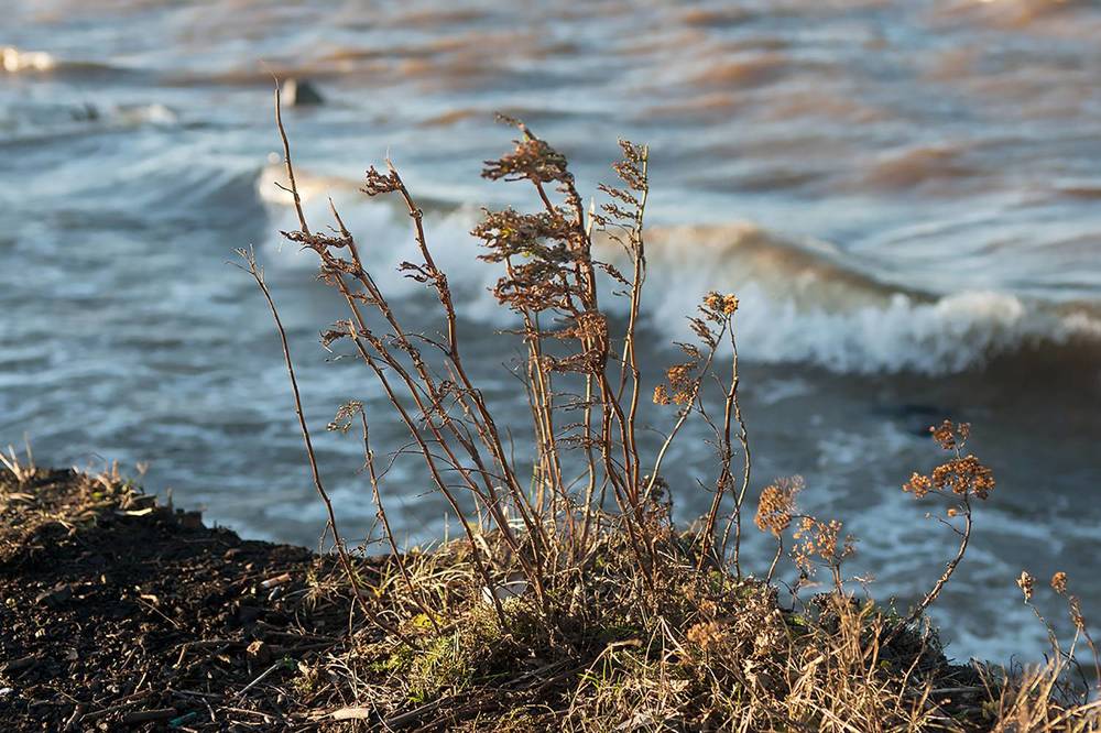 Photograph by Смирнов Алексей