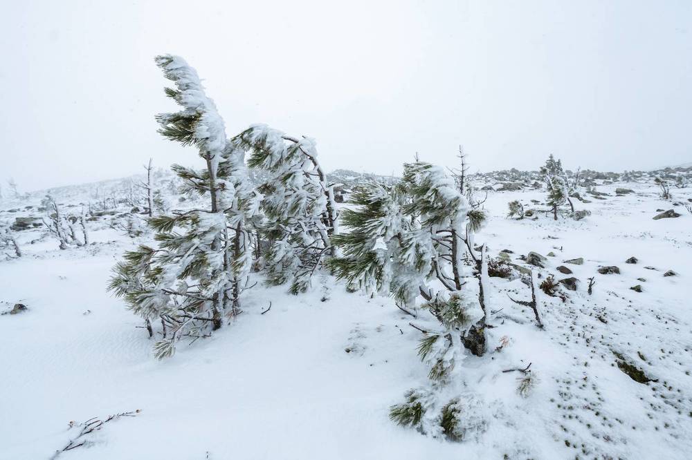 Photograph by Евгений Москвин