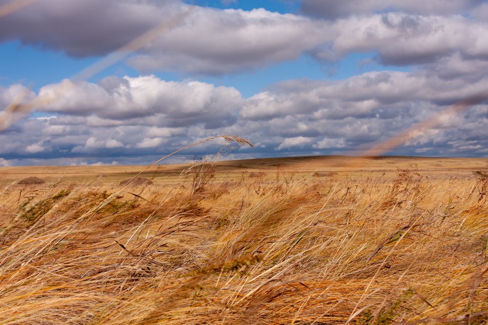Photograph by Евгений Москвин