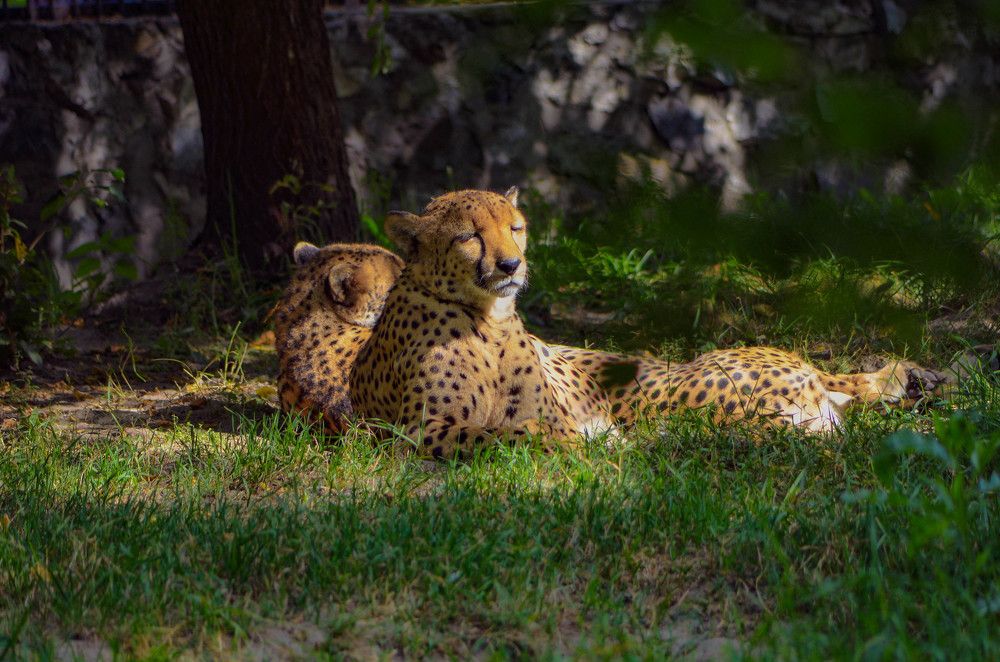 Photograph by Михаил Соколов