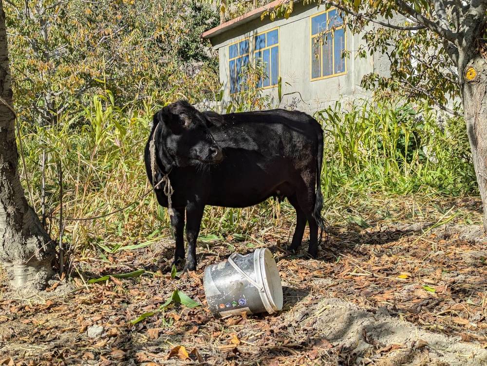 Photograph by Ishaq Karim