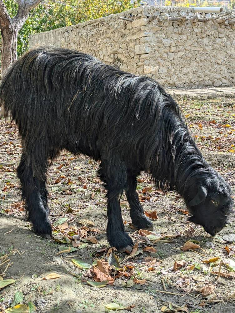 Photograph by Ishaq Karim