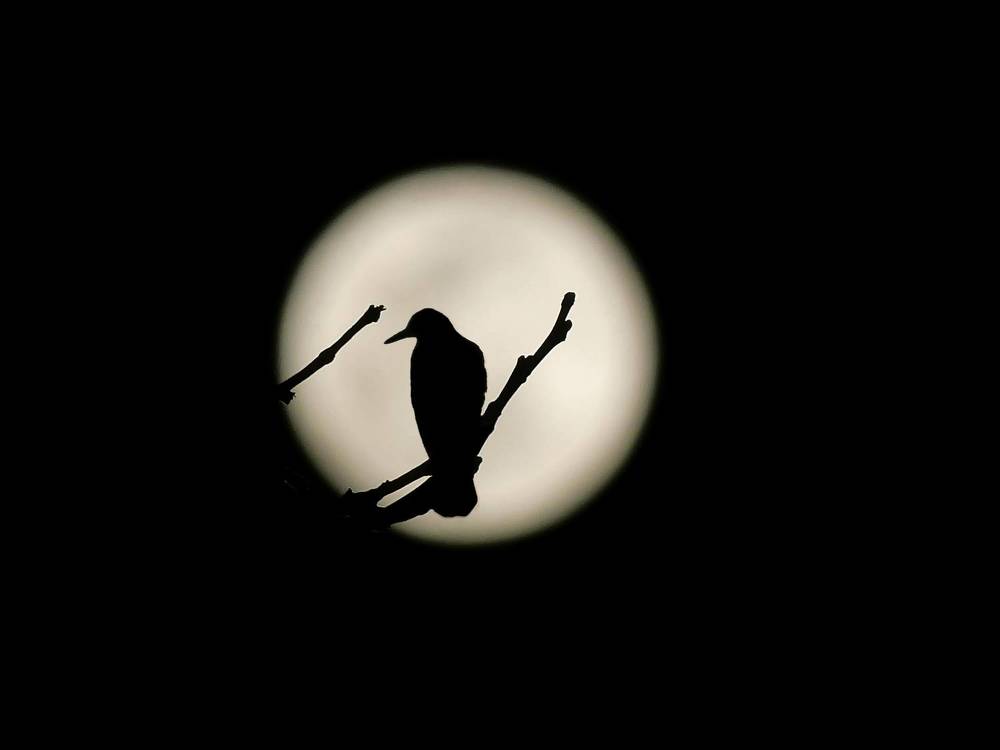 Photograph by ali bakhshi