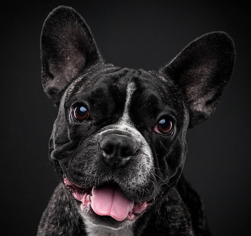 Photograph by Дёгтев Евгений