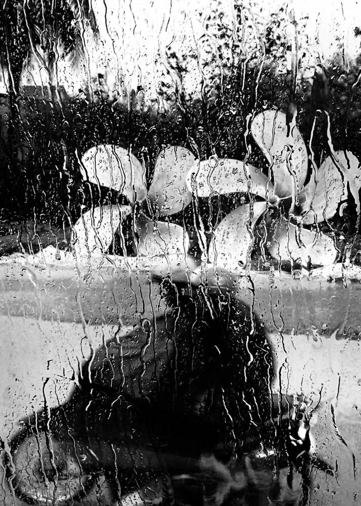 Photograph by HIEU LIEM DO