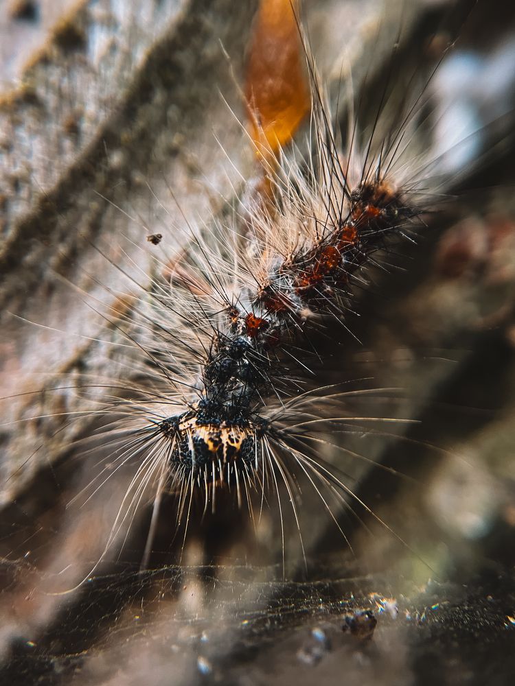 Photograph by Анна