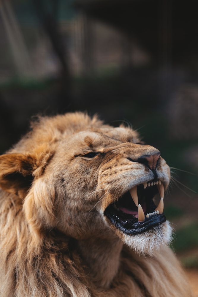 Photograph by Игорь Еремеев