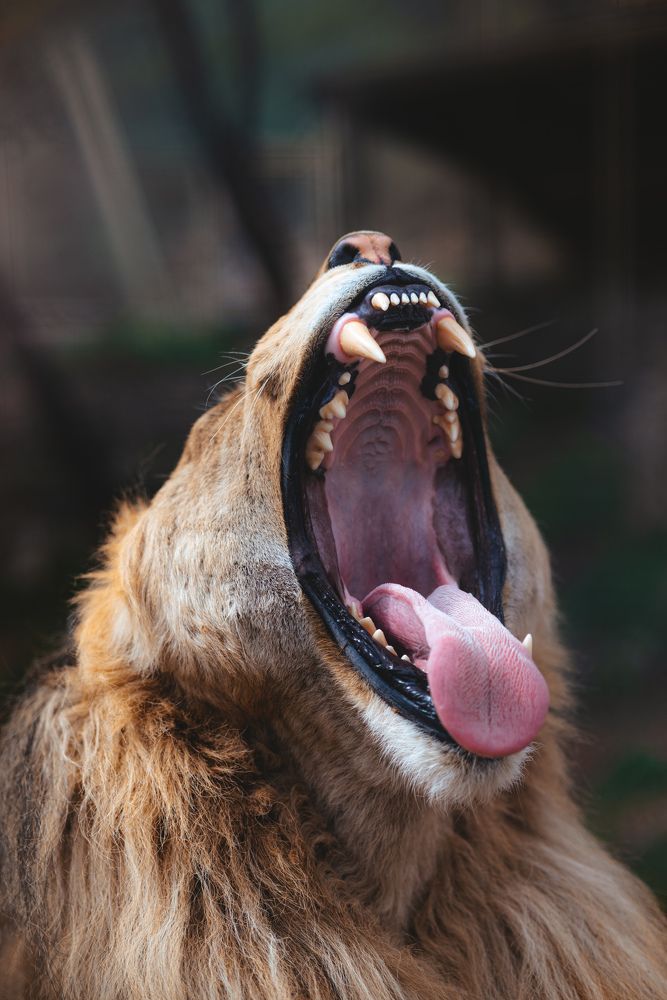 Photograph by Игорь Еремеев