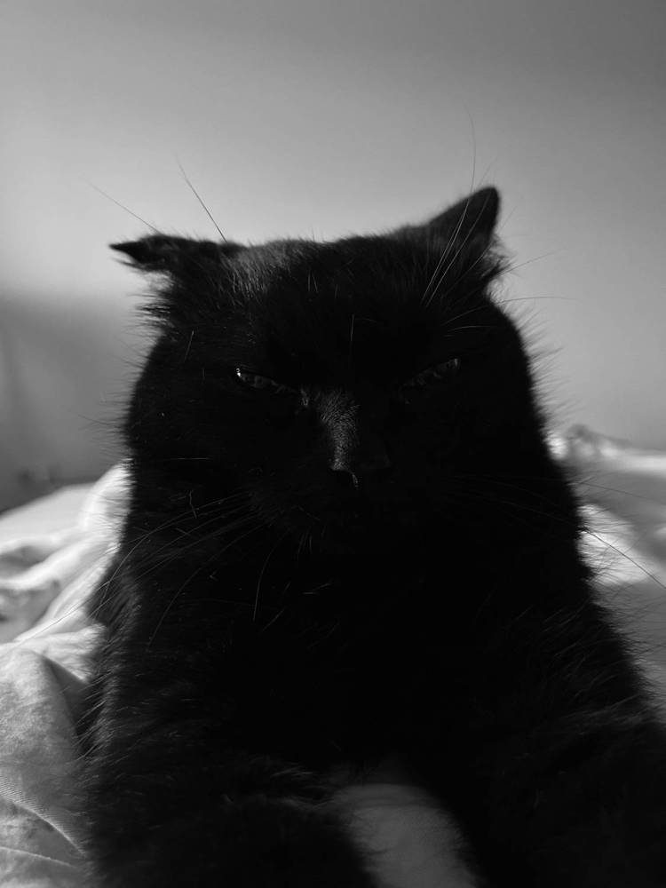 Photograph by Елена Власова